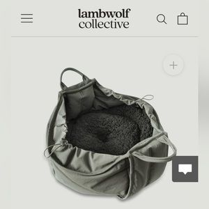 Pet carrier use as tote or sling